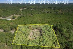 Beckham Lane  photo 4