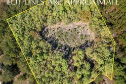 Beckham Lane  photo 4