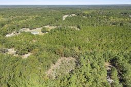 Beckham Lane  photo 4