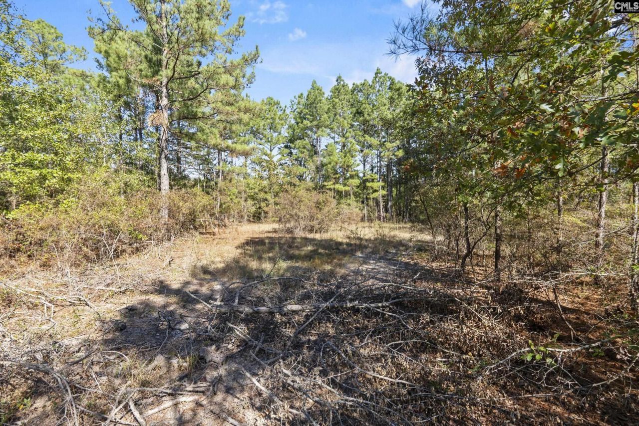 Beckham Lane  Photo 8