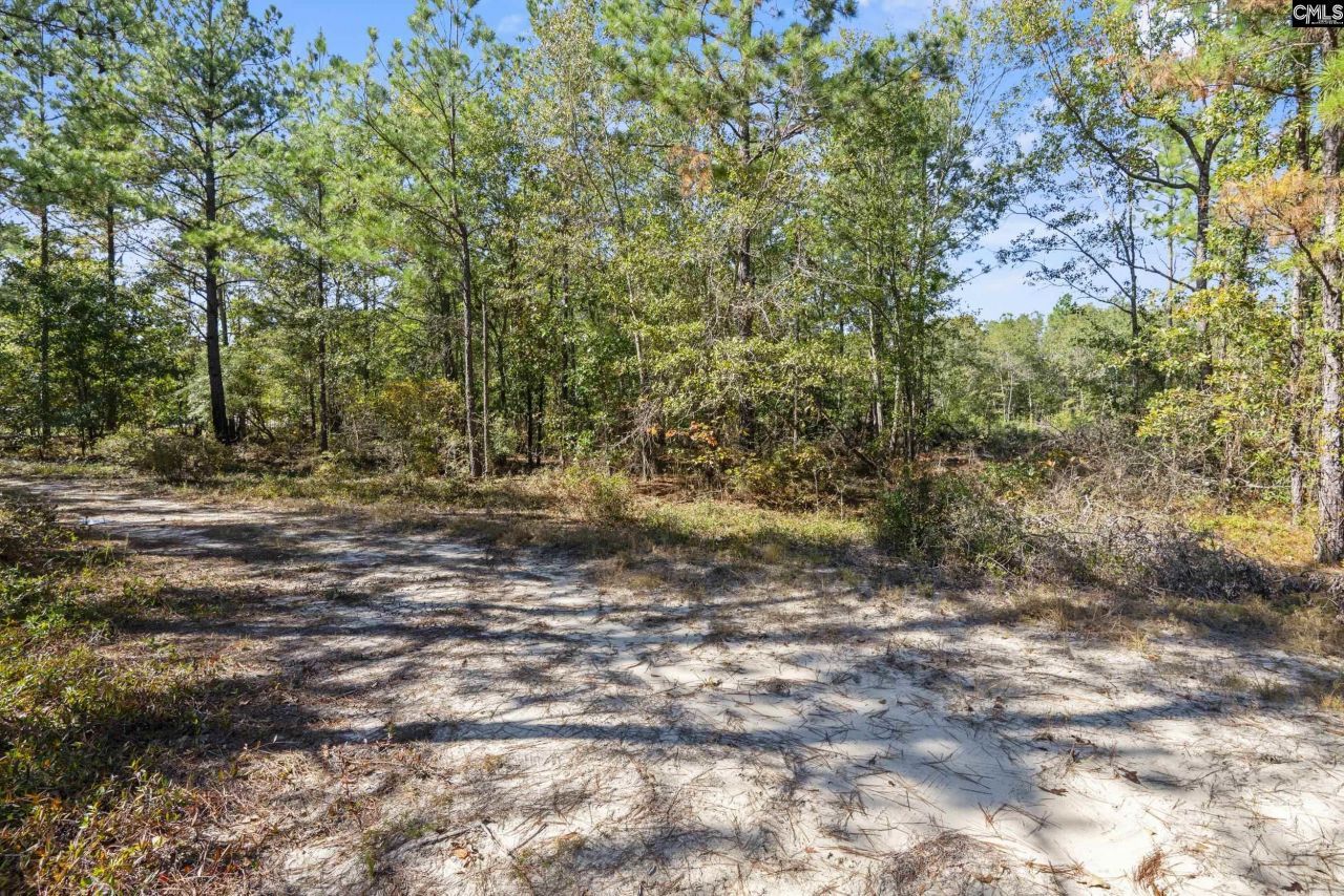 Beckham Lane  Photo 9