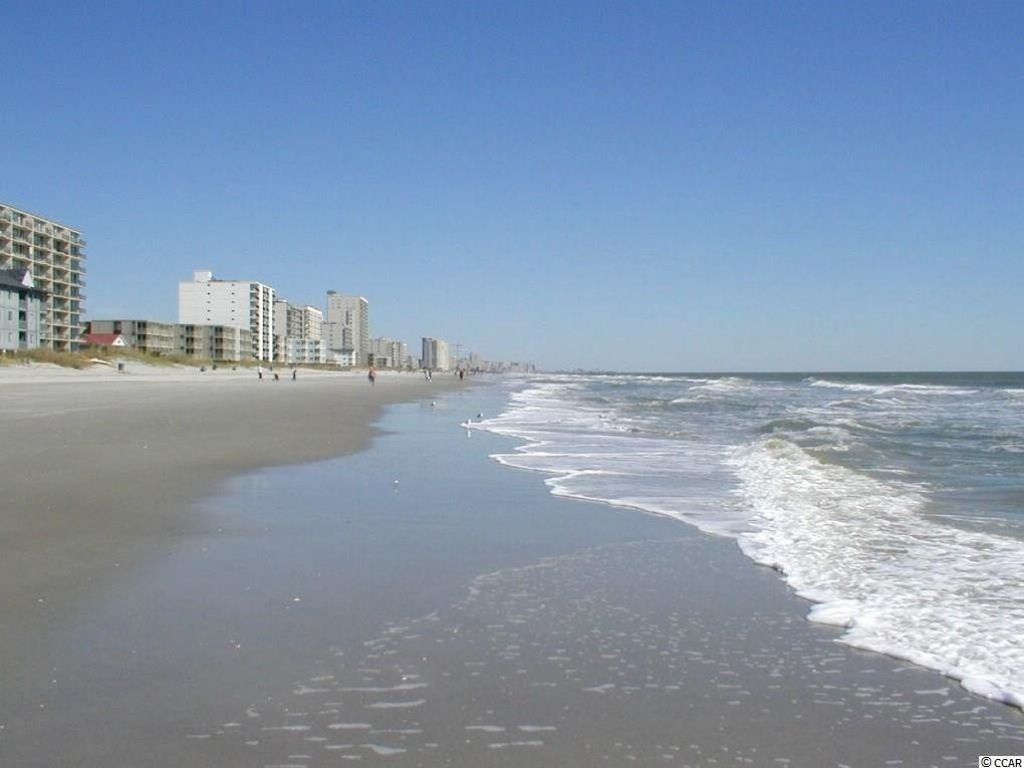 2618 Muhly Ct. Photo 40