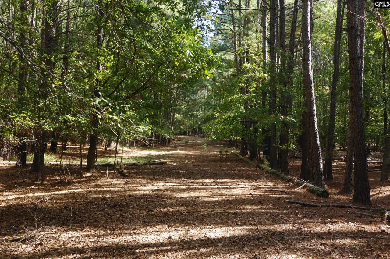 28 Chalet Road Photo 10