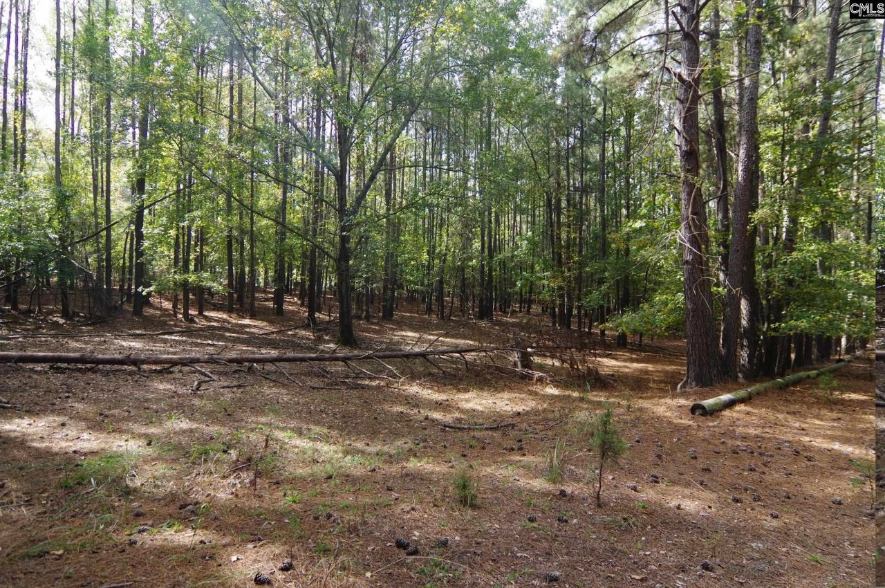 28 Chalet Road Photo 12