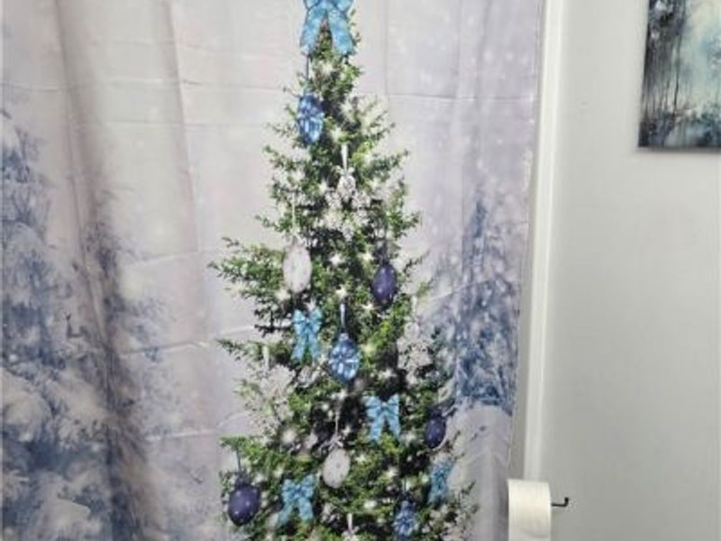 508 Virginia Street, Tiltonsville, OH 43963 Photo 19