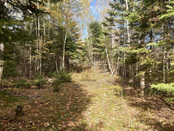 Lot 22 Off South Meadow & Roys Way Road, Perry, ME 04667