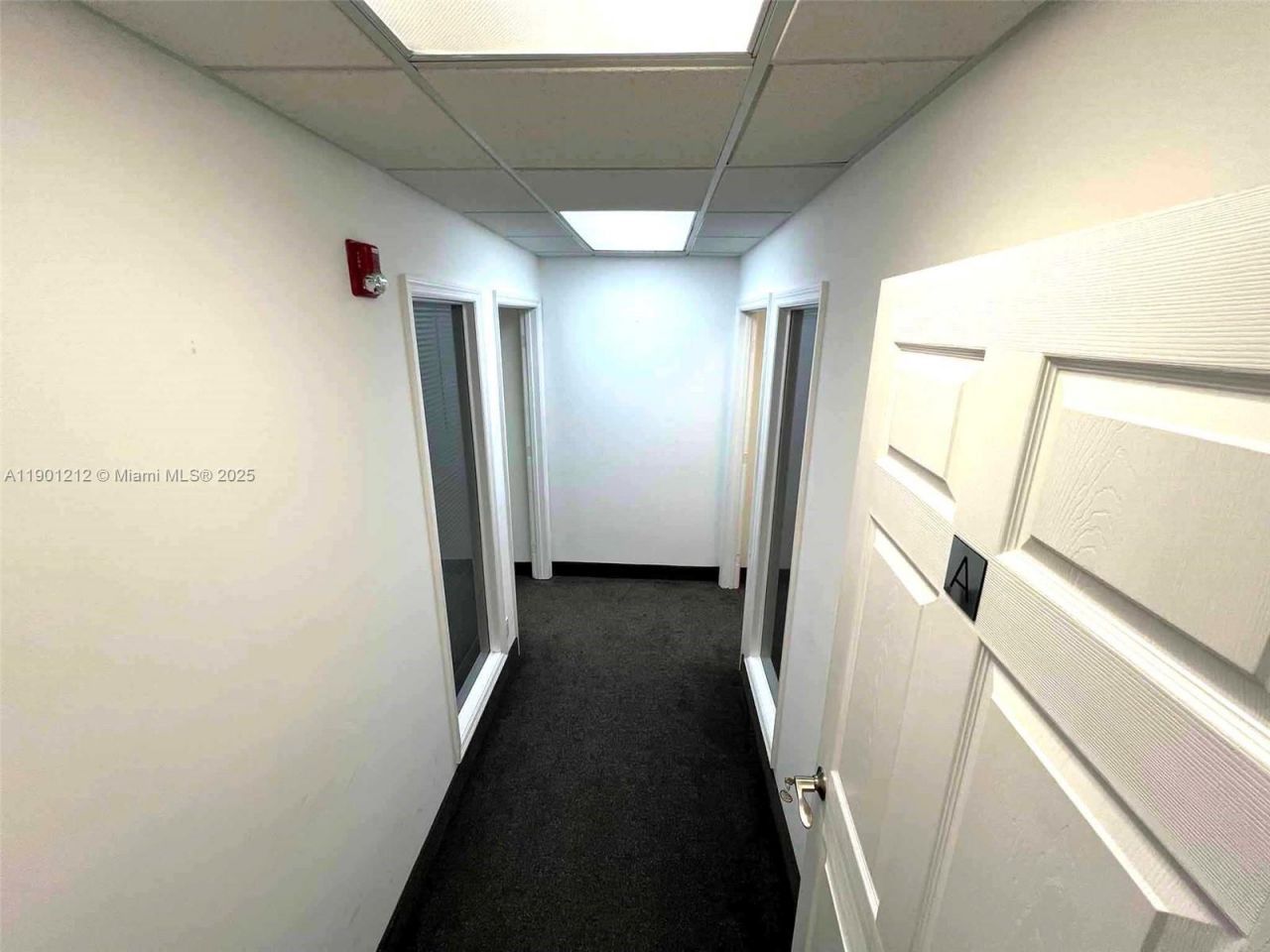 2727 E Oakland Park Blvd, Unit 304, Fort Lauderdale, FL 33306 Photo