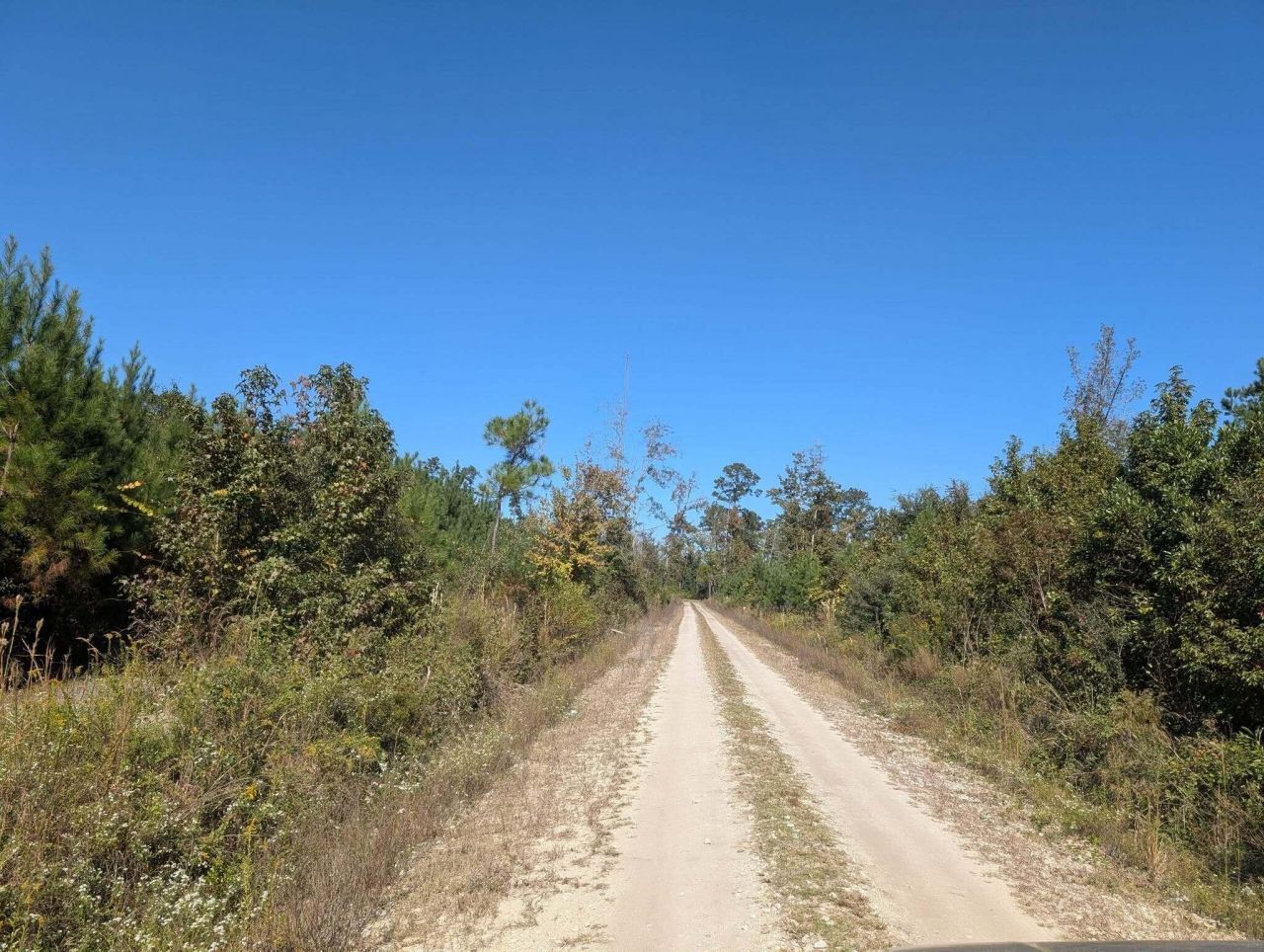 350 Pervis Lane Photo 2