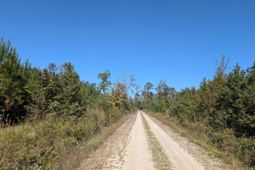 350 Pervis Lane photo 4