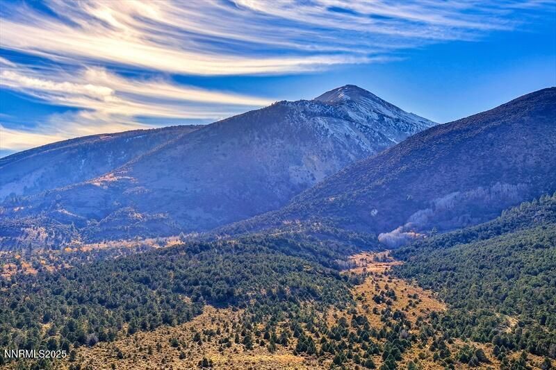 231 Atcheson, Smith Valley, NV 89444 Photo