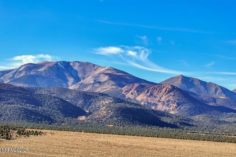 231 Atcheson, Smith Valley, NV 89444 Photo