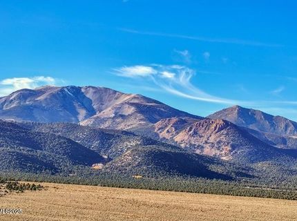 231 Atcheson, Smith Valley, NV 89444 Photo