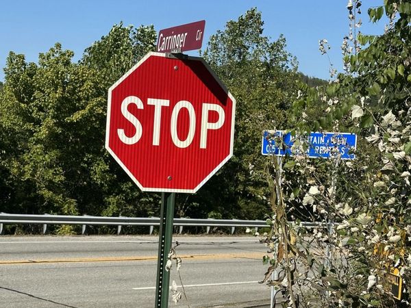 Carringer Circle, Tellico Plains, TN 37385