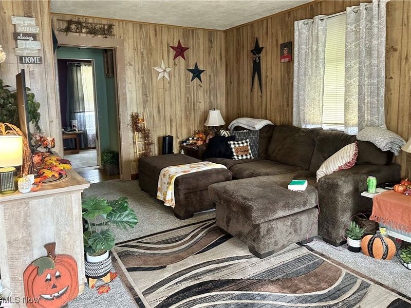 E Canal Street, Nelsonville, OH 45764 Photo 14