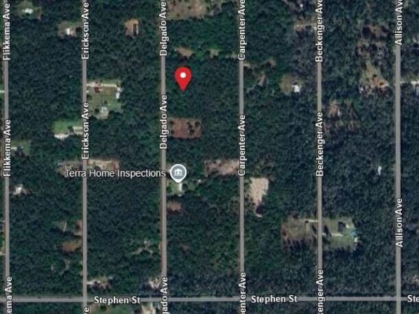 10040 Delgado Avenue, Hastings, FL 32145