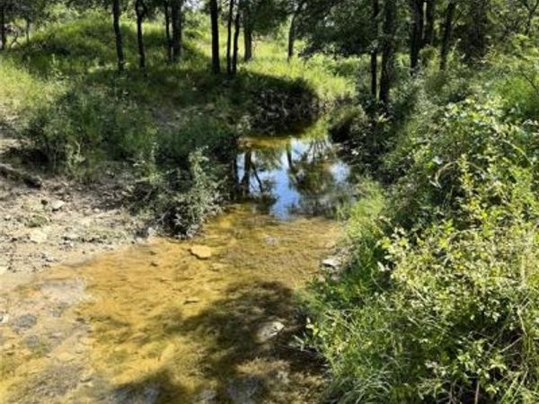 342 Tatanka Trail, Gustine, TX 76455