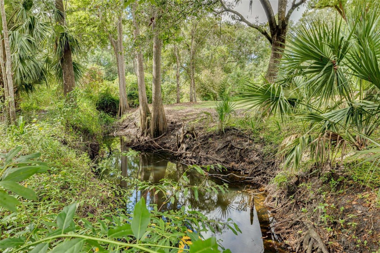 1868 Overview Drive, New Port Richey, FL 34655 Photo