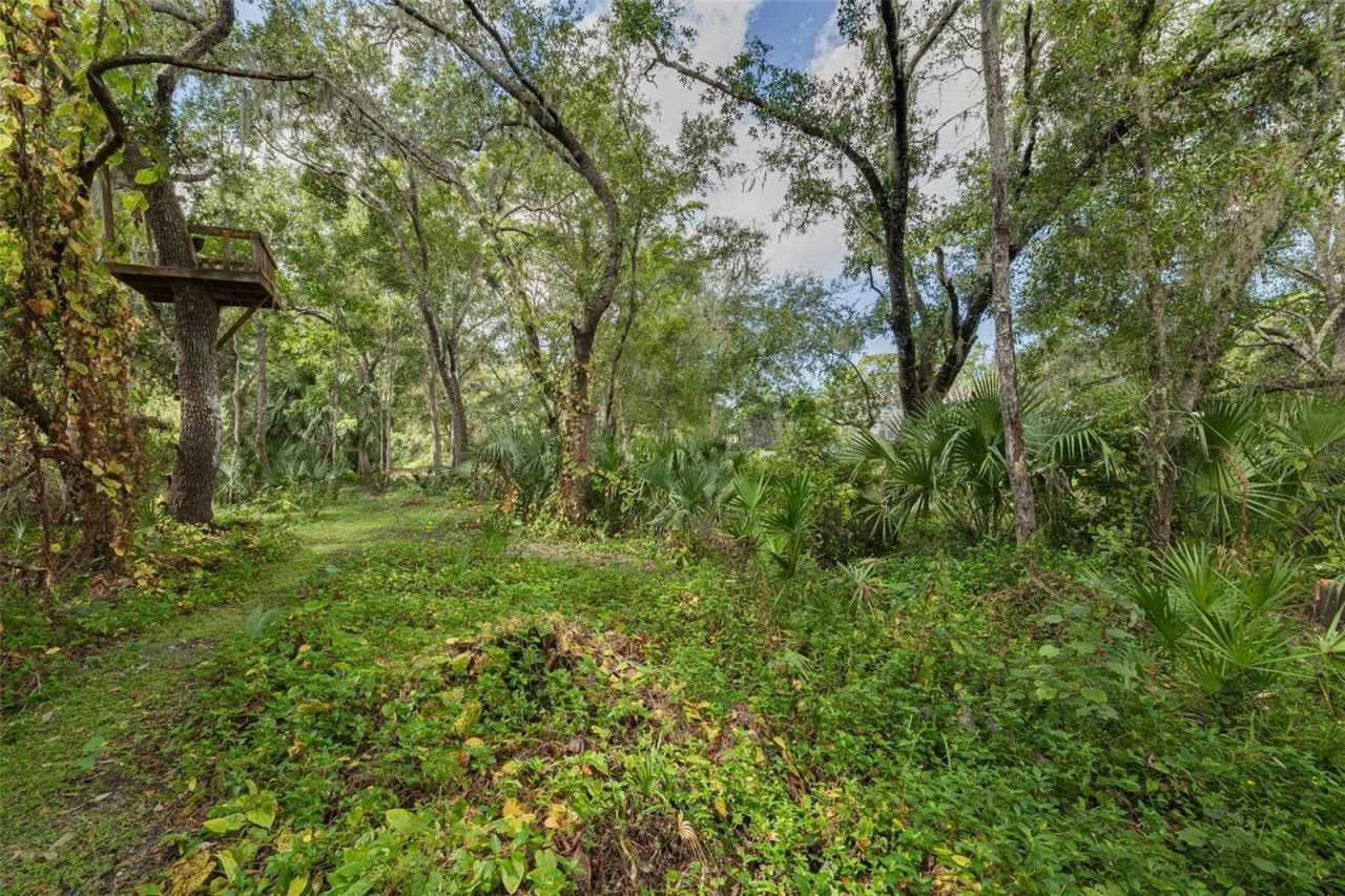 1868 Overview Drive, New Port Richey, FL 34655 Photo