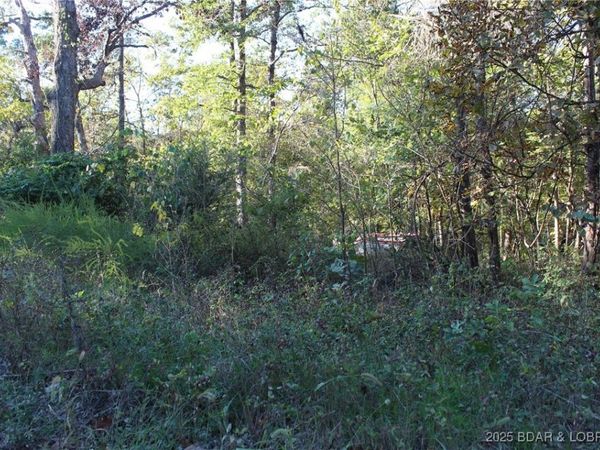Dogwood Drive, Stover, MO 65078