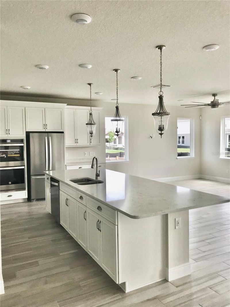 11638 Sweet Tangerine Lane, Tampa, FL 33626 Photo