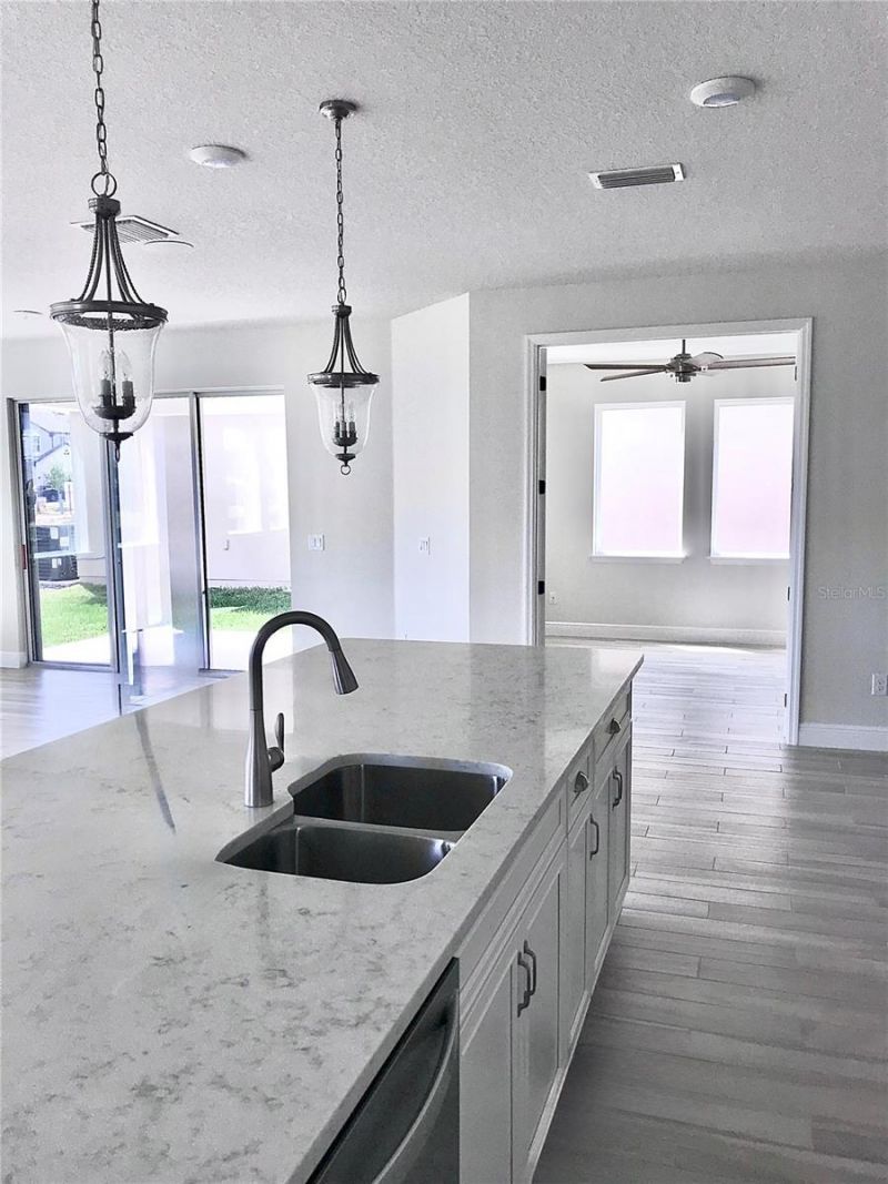 11638 Sweet Tangerine Lane, Tampa, FL 33626 Photo