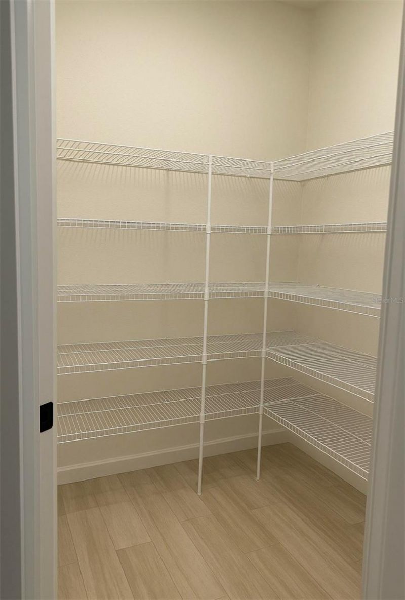 11638 Sweet Tangerine Lane, Tampa, FL 33626 Photo