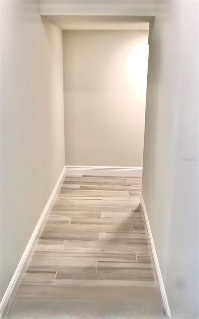 11638 Sweet Tangerine Lane, Tampa, FL 33626 Photo