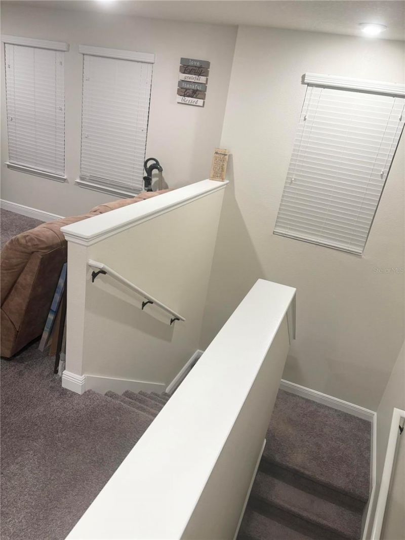 11638 Sweet Tangerine Lane, Tampa, FL 33626 Photo