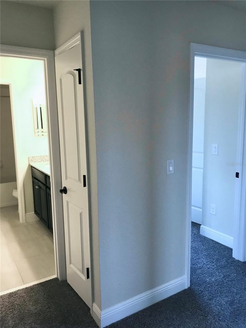 11638 Sweet Tangerine Lane, Tampa, FL 33626 Photo