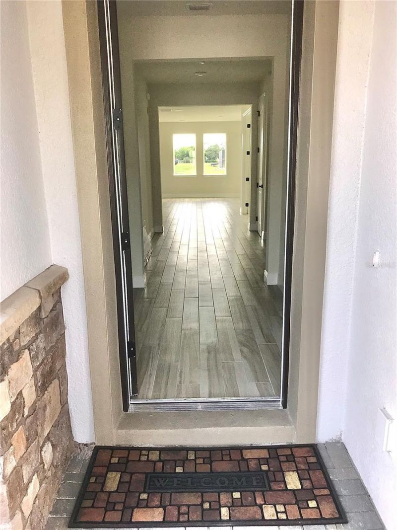 11638 Sweet Tangerine Lane, Tampa, FL 33626 Photo