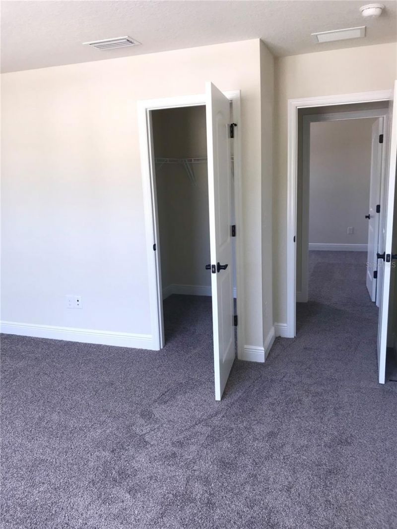 11638 Sweet Tangerine Lane, Tampa, FL 33626 Photo