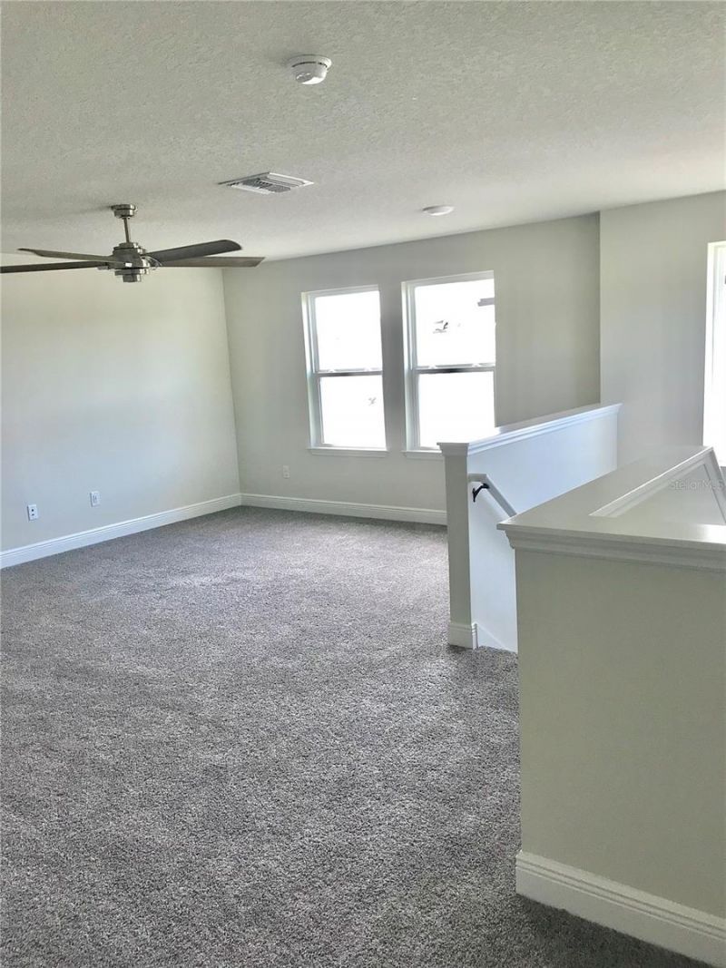 11638 Sweet Tangerine Lane, Tampa, FL 33626 Photo