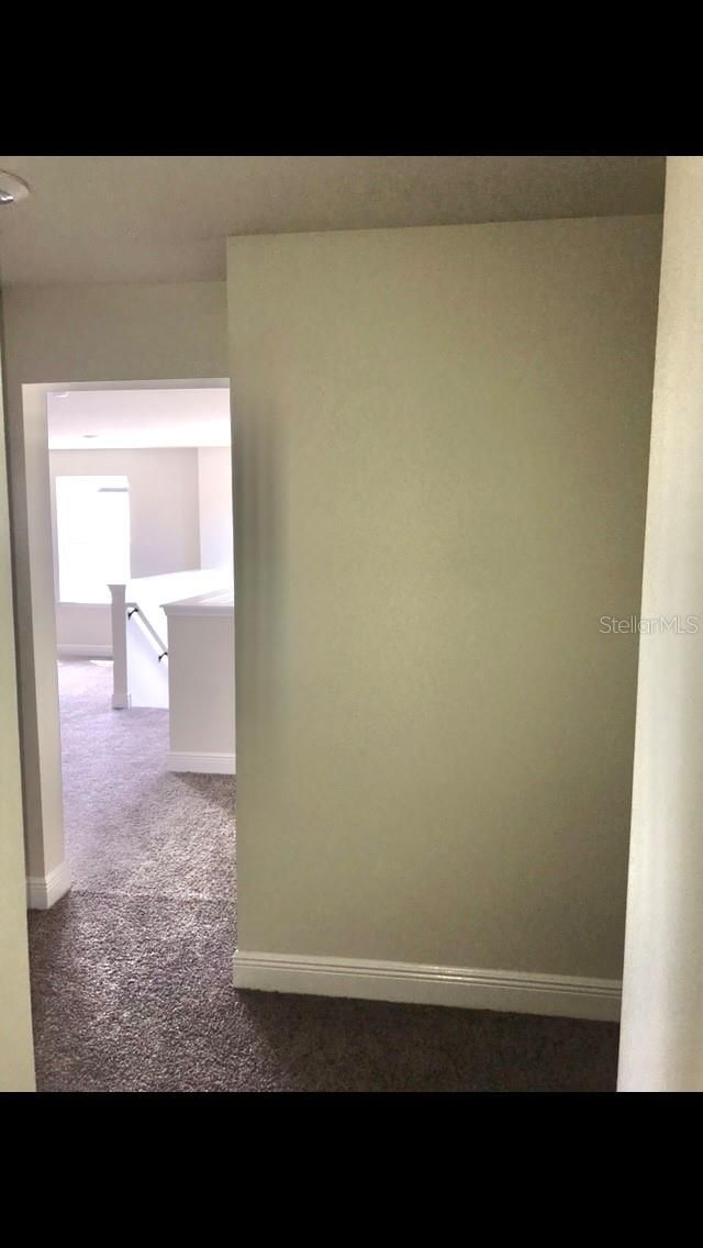 11638 Sweet Tangerine Lane, Tampa, FL 33626 Photo