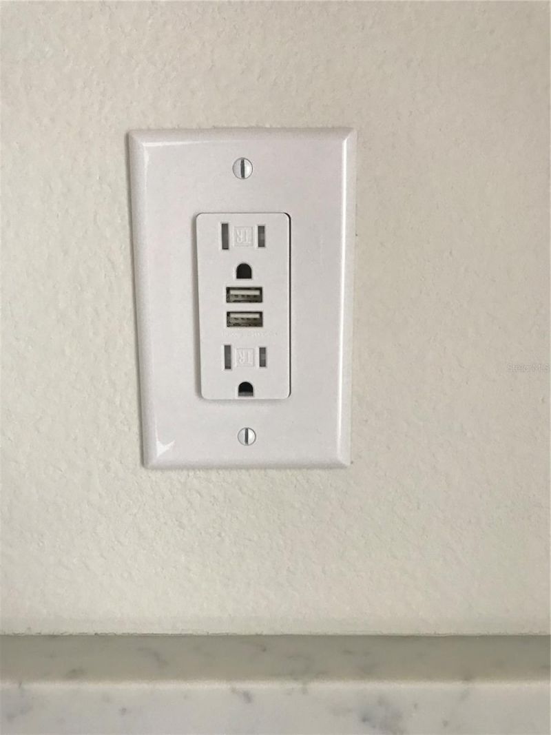 11638 Sweet Tangerine Lane, Tampa, FL 33626 Photo