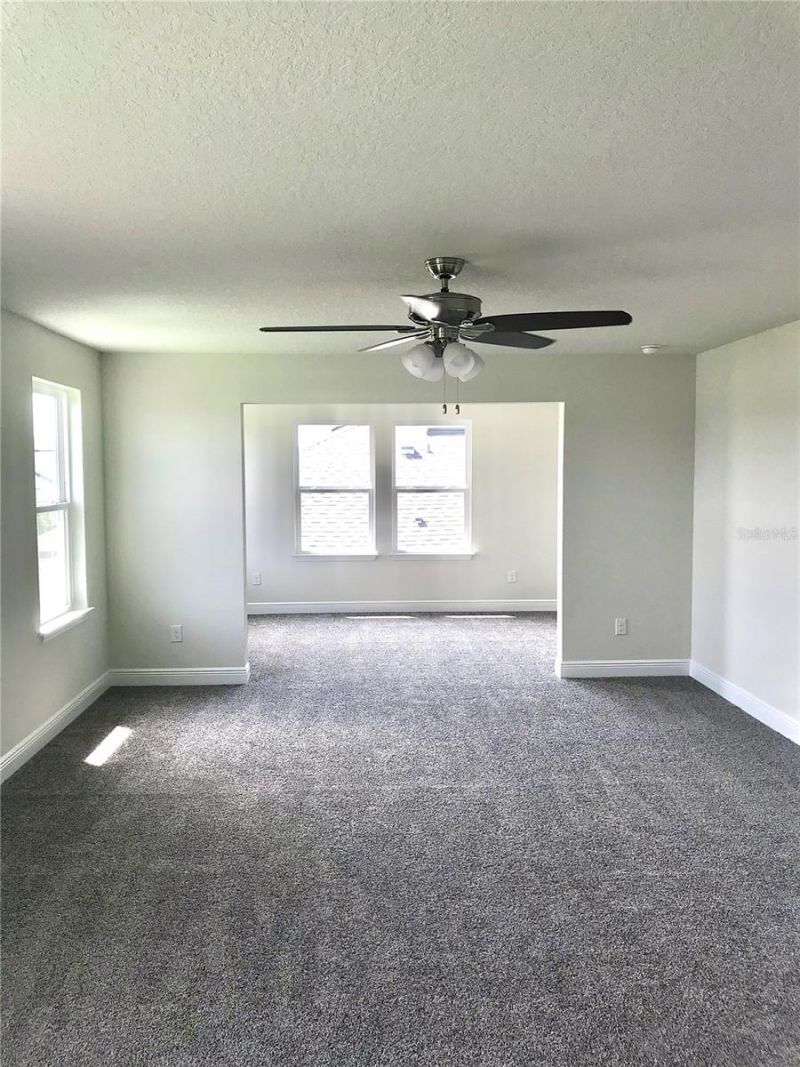 11638 Sweet Tangerine Lane, Tampa, FL 33626 Photo