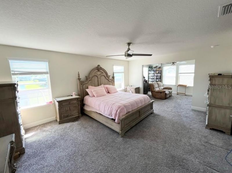 11638 Sweet Tangerine Lane, Tampa, FL 33626 Photo