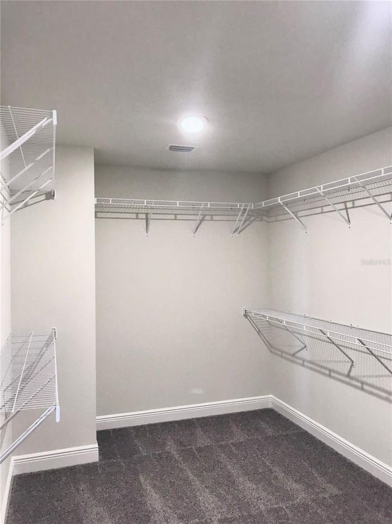 11638 Sweet Tangerine Lane, Tampa, FL 33626 Photo