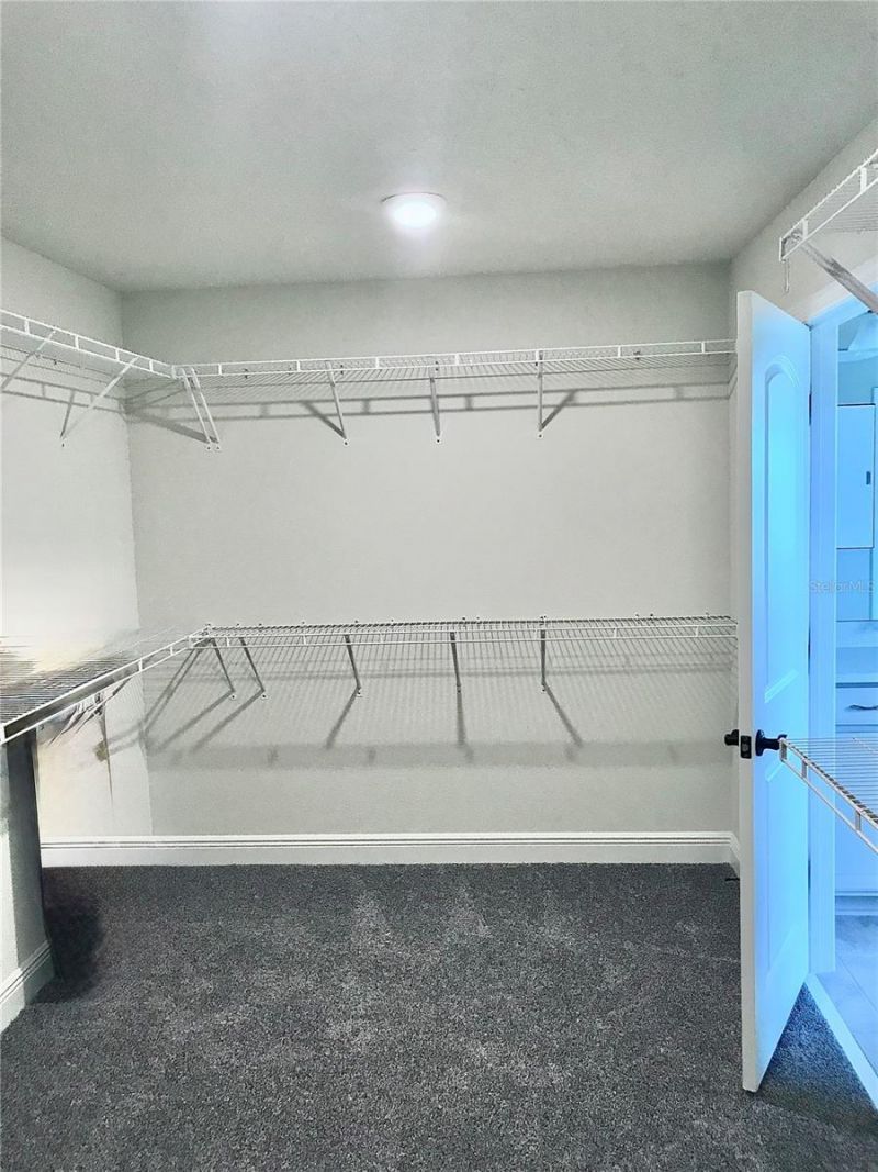 11638 Sweet Tangerine Lane, Tampa, FL 33626 Photo