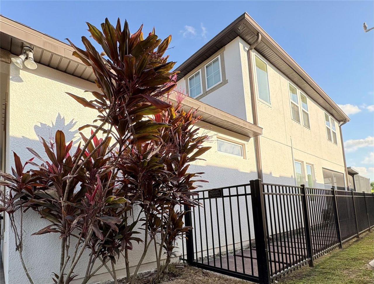 11638 Sweet Tangerine Lane, Tampa, FL 33626 Photo