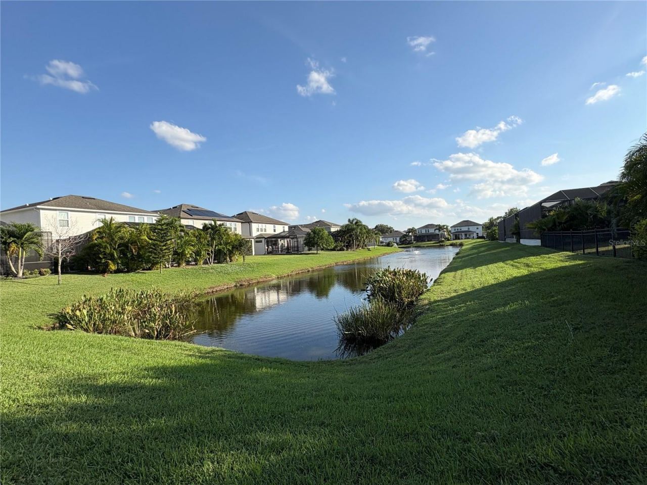 11638 Sweet Tangerine Lane, Tampa, FL 33626 Photo