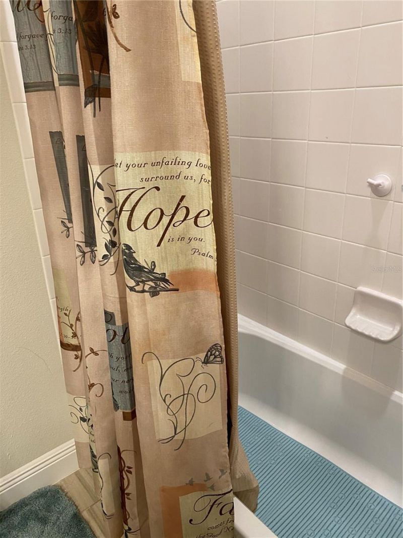 11638 Sweet Tangerine Lane, Tampa, FL 33626 Photo