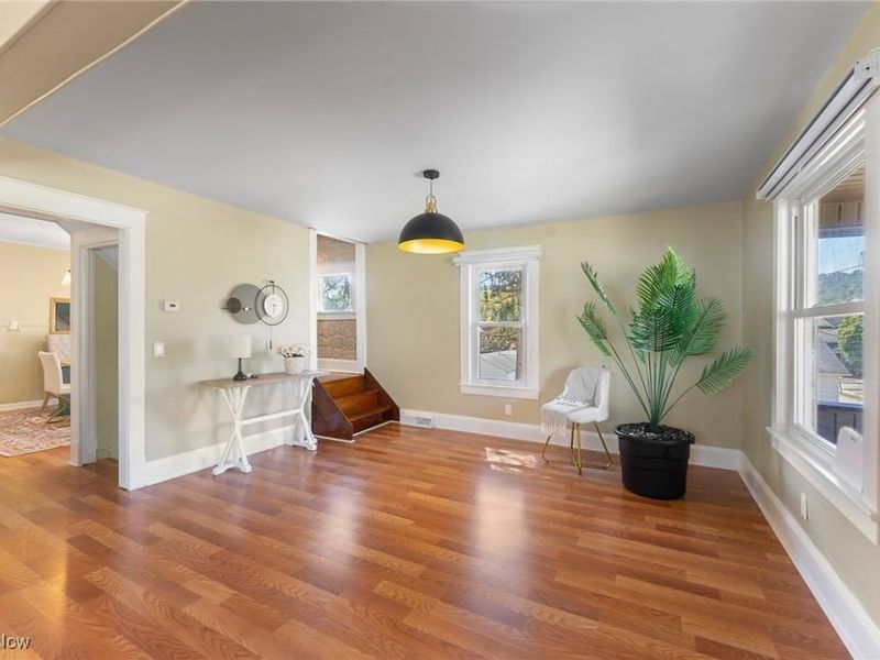 237 Watson Street, Lowellville, OH 44436 Photo 5