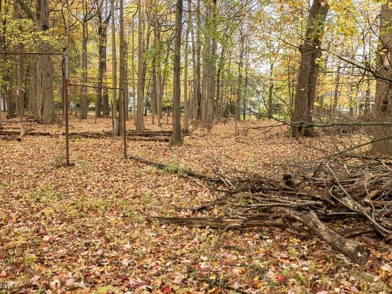 2186 Canterbury Road, Westlake, OH 44145 Photo 33