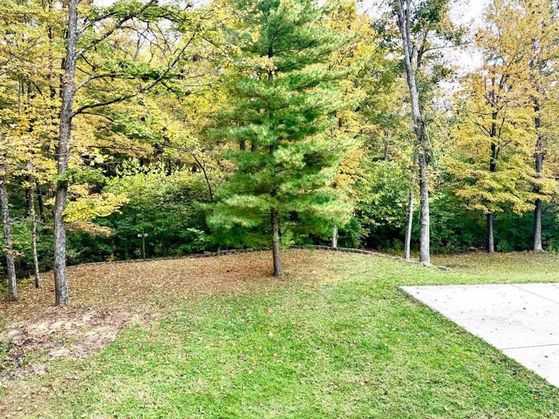 2491 Old Mill Road, Deerfield Twp., OH 45039 Photo 21