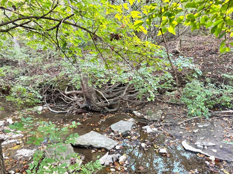 2491 Old Mill Road, Deerfield Twp., OH 45039 Photo 24