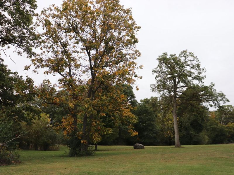 7521 Brush Lake Road, North Lewisburg, OH 43060 Photo 78