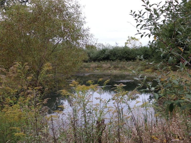 7521 Brush Lake Road, North Lewisburg, OH 43060 Photo 80