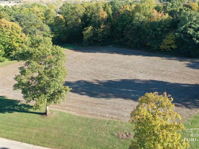 7521 Brush Lake Road, North Lewisburg, OH 43060 Photo 91