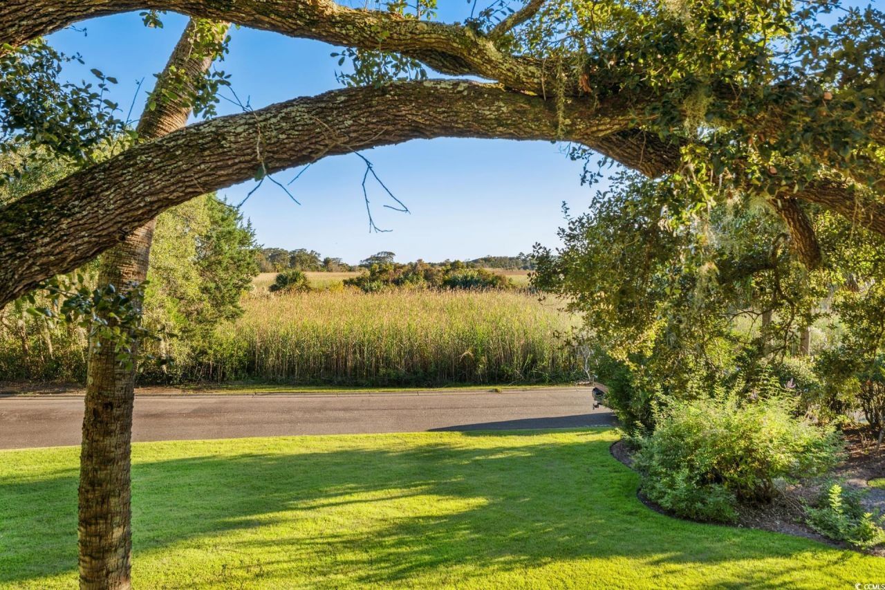 224 Ocean Green Dr. Photo 31