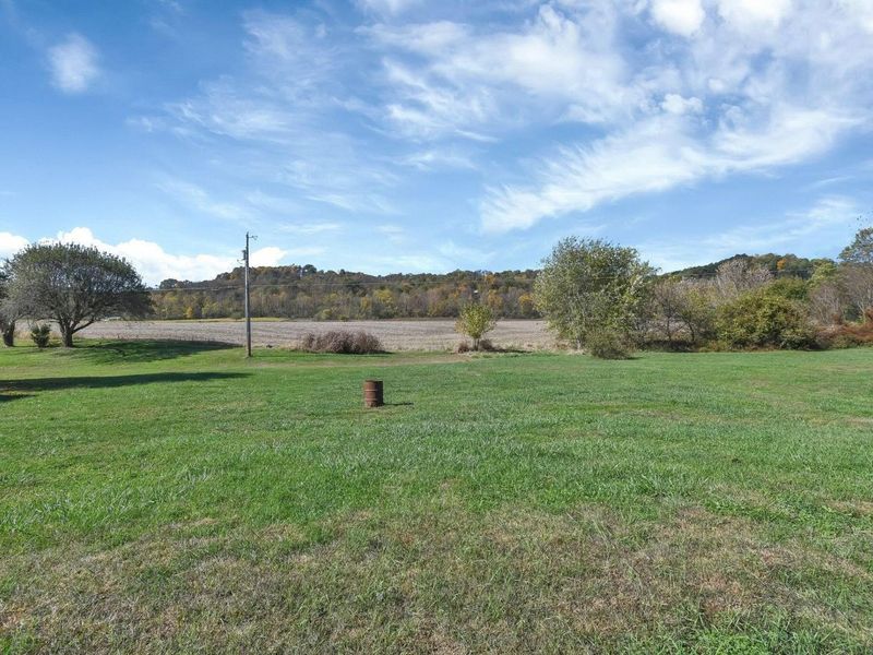 7979 Old River Road, Philo, OH 43771 Photo 24